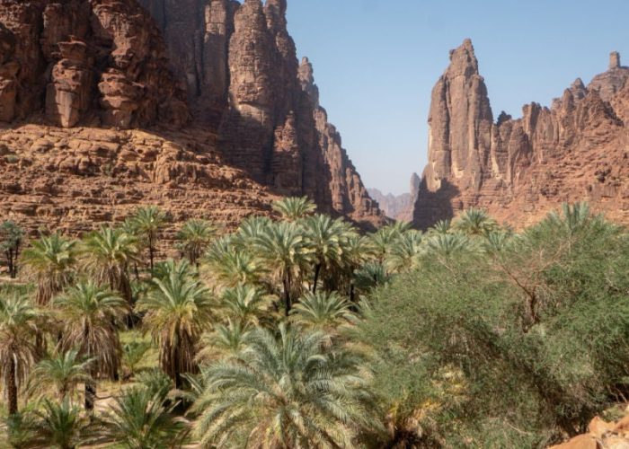 Desert-oasis-Saudi-Arabia